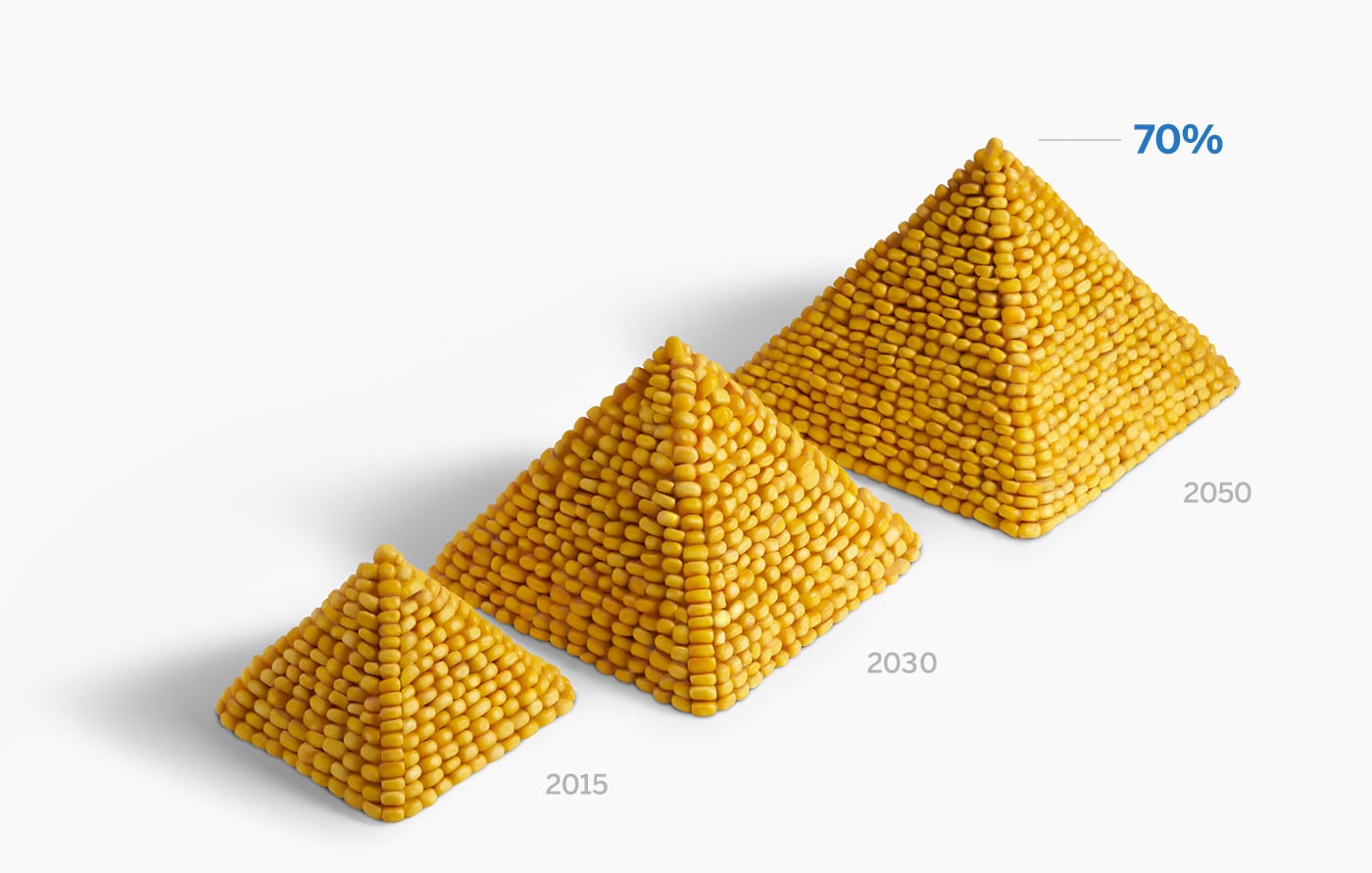 Image of food pyramid showing 70% increase by 2050