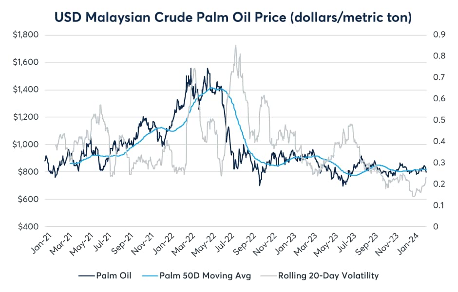 Palm oil deals price today