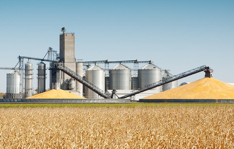 April 2021 International Grains Update - CME Group