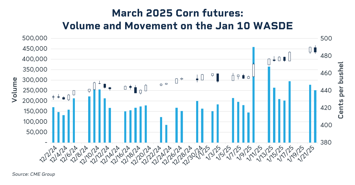 march corn futures