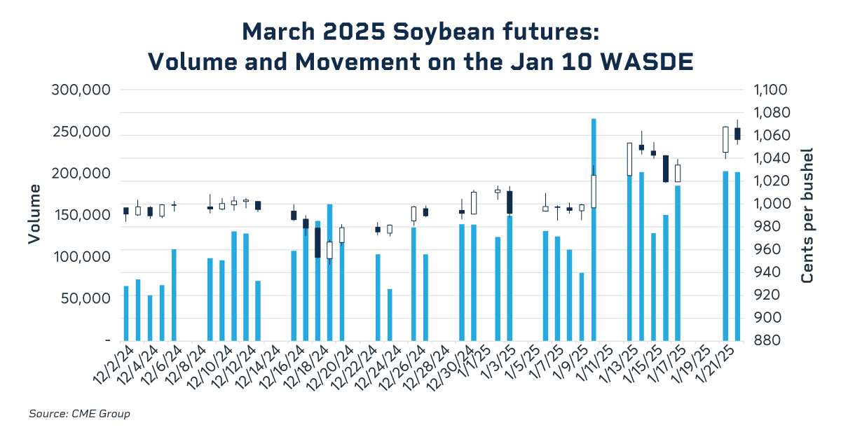 march soybean futures