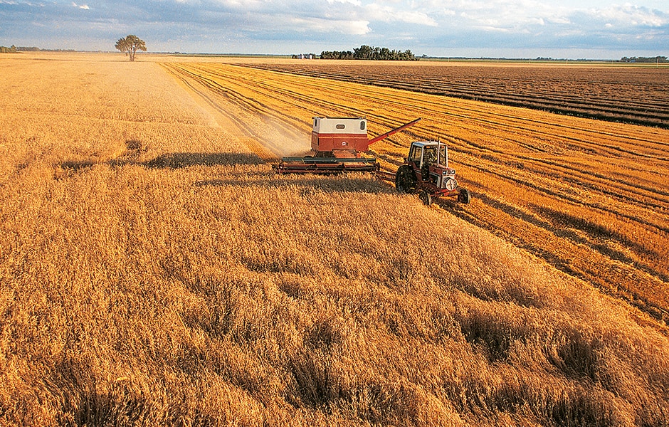 Introduction to Agriculture